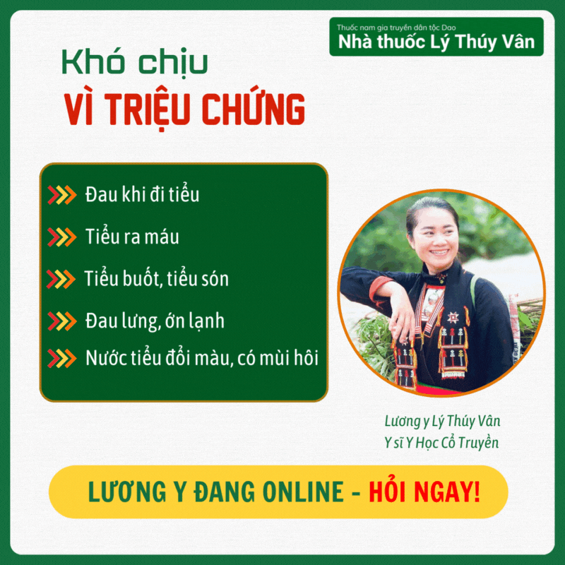tư vấn chữa sỏi thận