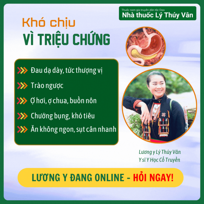 chữa đau dạ dày