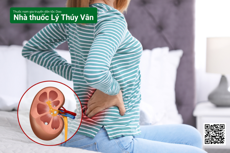 thuốc nam chữa sỏi thận