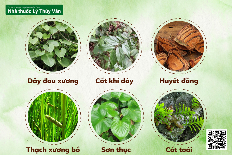 Thuốc chữa xương khớp