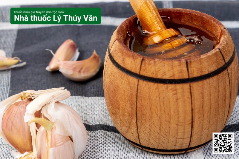 thuốc nam trị dạ dày trào ngược